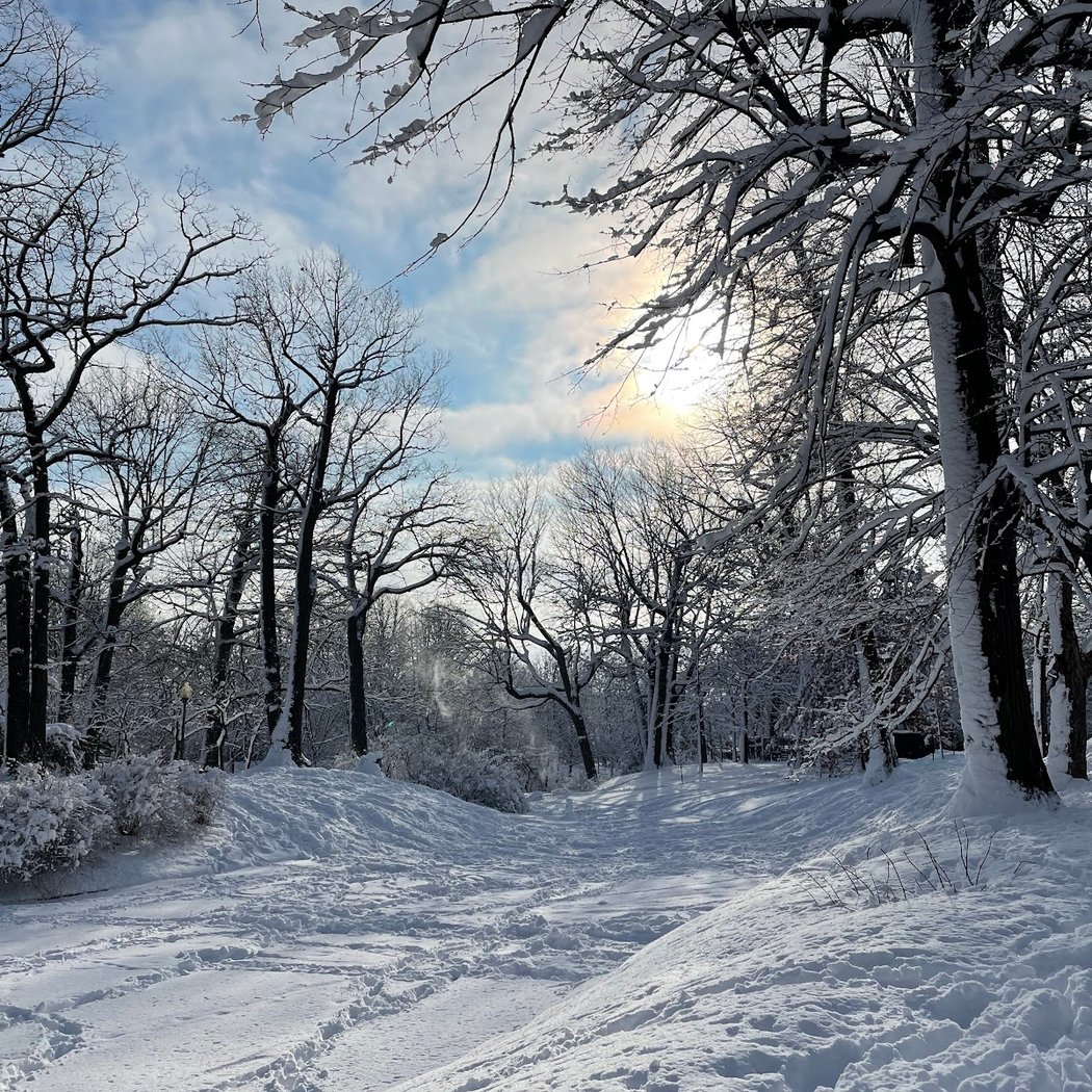 Parc Westmount 3